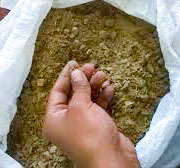 Peruvian Seabird Guano